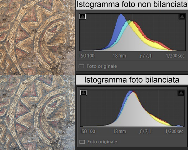 Giorgi et al. 2021, fig. 9