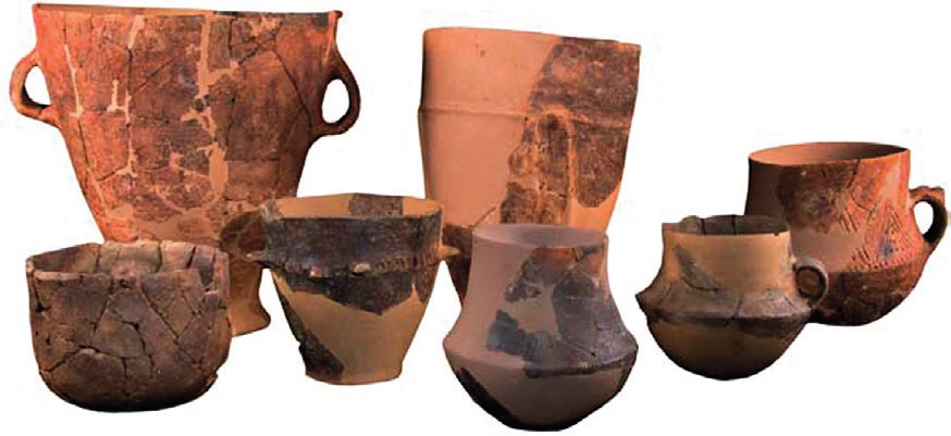 Tavella et al. 2021, fig.1