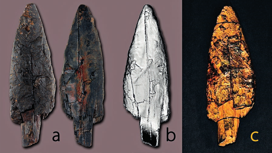 Guček Puhar et al. 2021, fig.1
