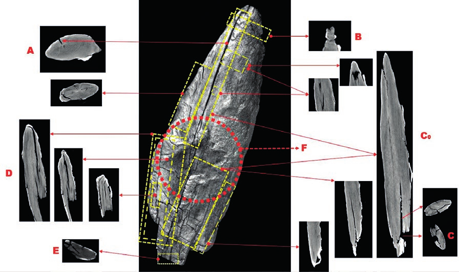 Guček Puhar et al. 2021, fig.4