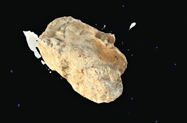 Aquino et al. 2021, fig.5