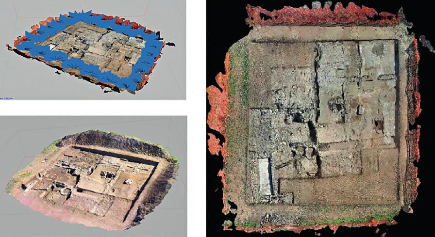 Triolo et al. 2021, fig.1