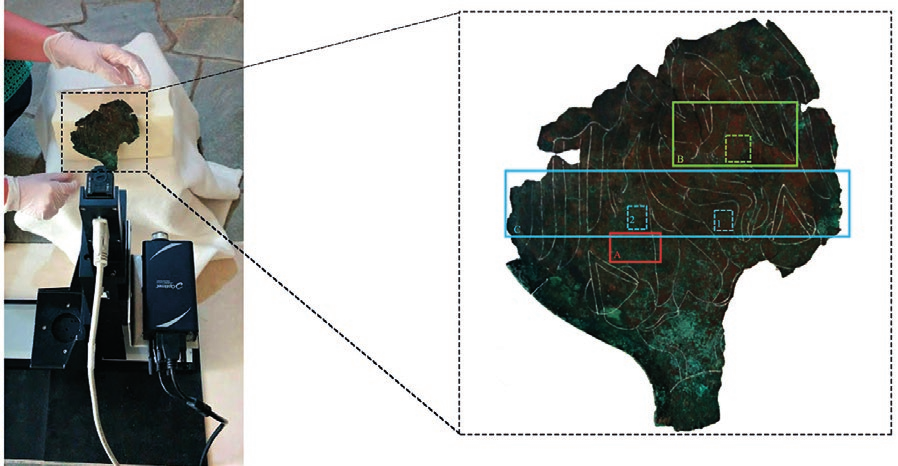 Mazzocato et al. 2021, fig.3