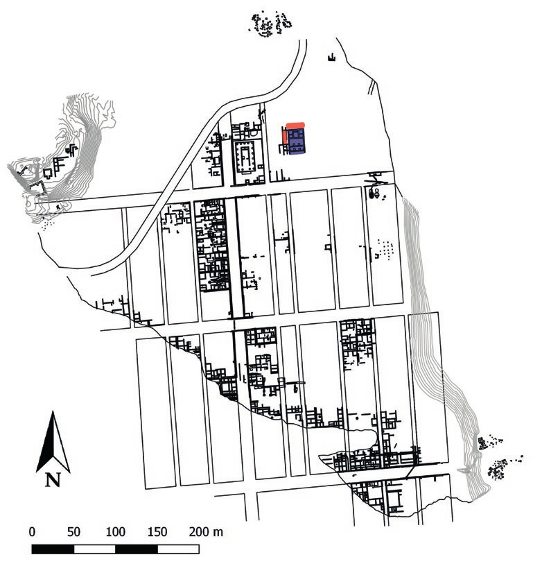 Natalucci 2021, fig.1