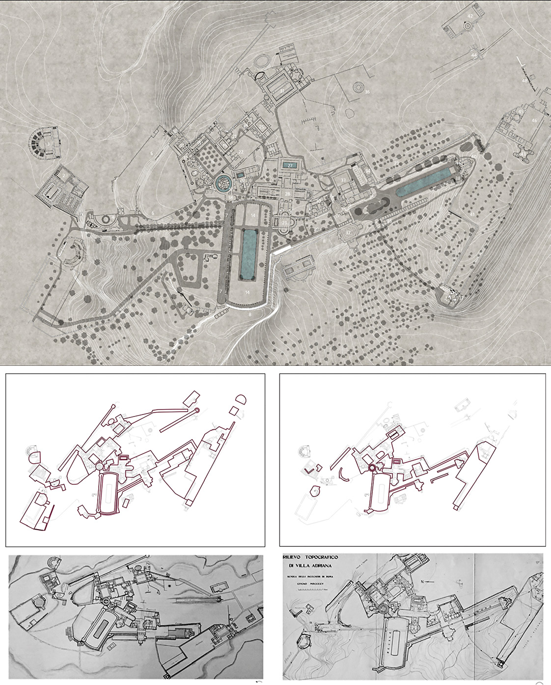 Bertocci 2022, fig. 2