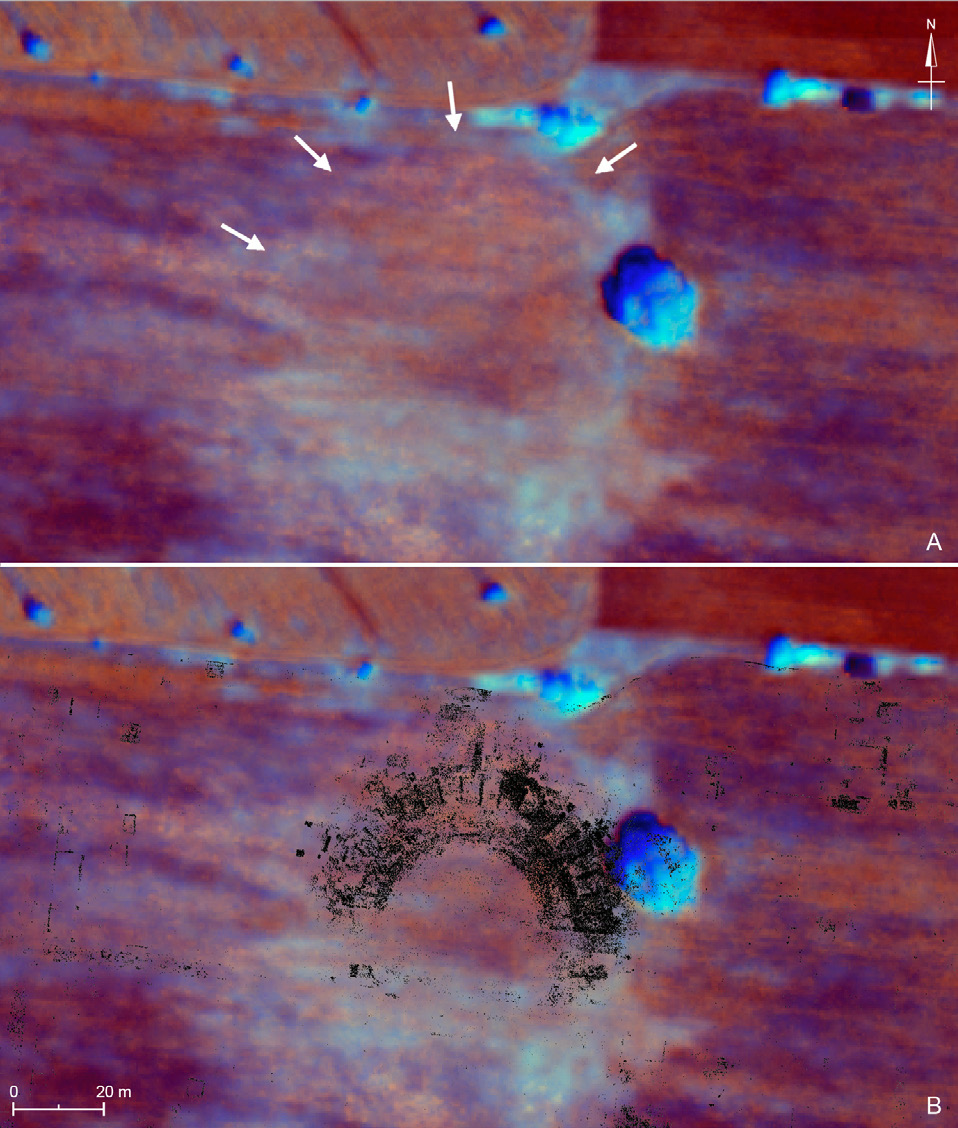 Miccoli 2022, fig. 7