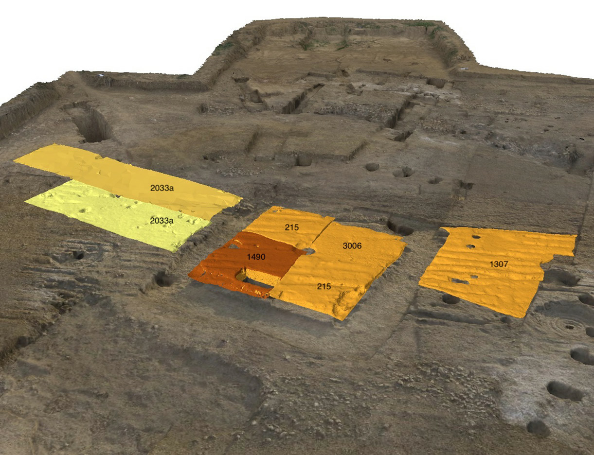 Poggi et al. 2022, fig. 10