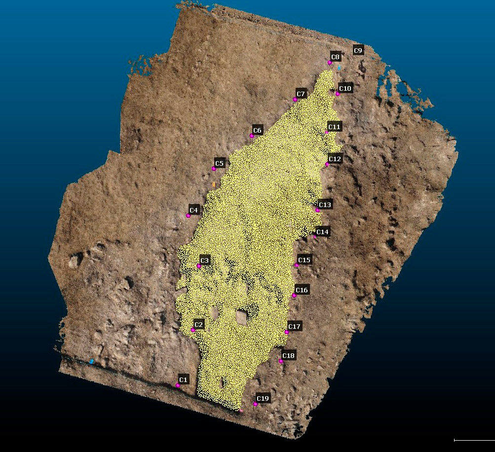 Poggi et al. 2022, fig. 4