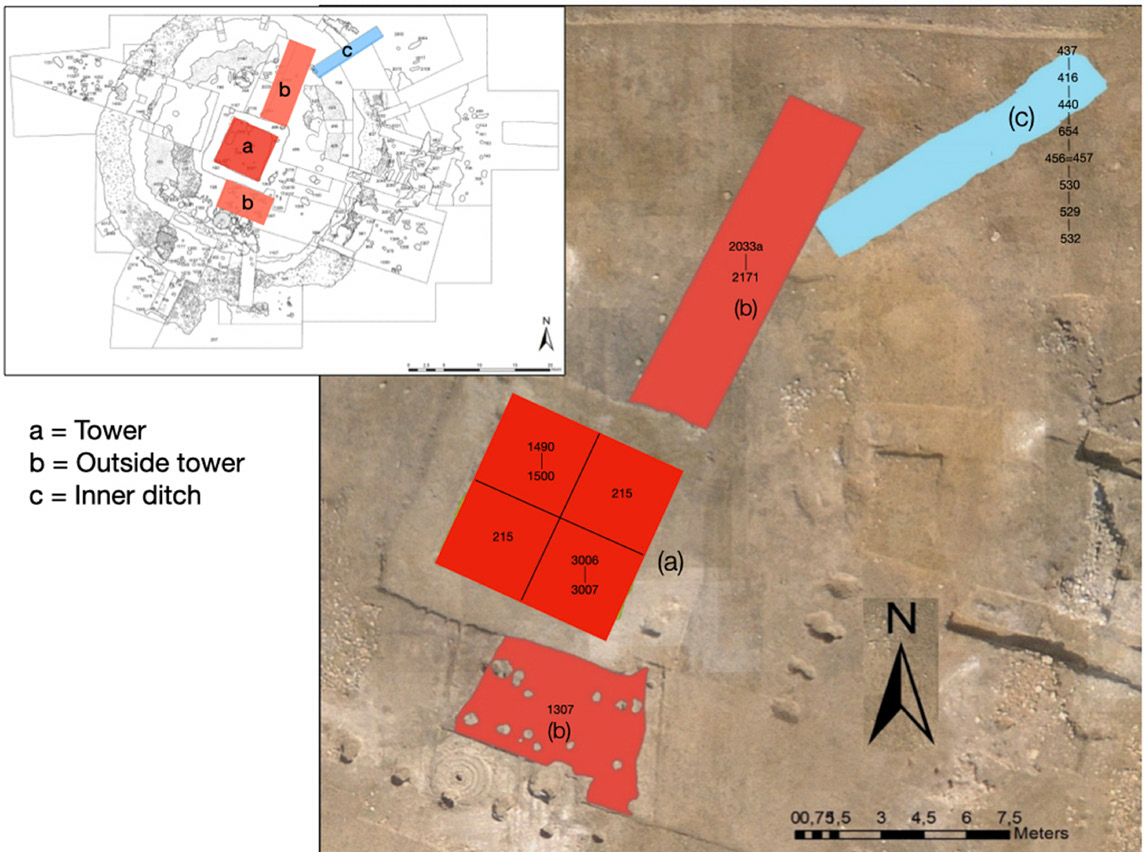 Poggi et al. 2022, fig. 8
