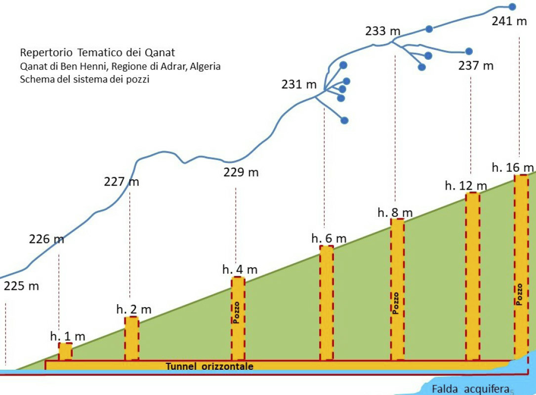 Boccuti  et al. 2022, fig. 5