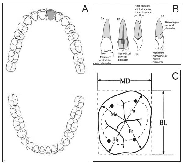 Vangeli et al. 2023, fig. 6