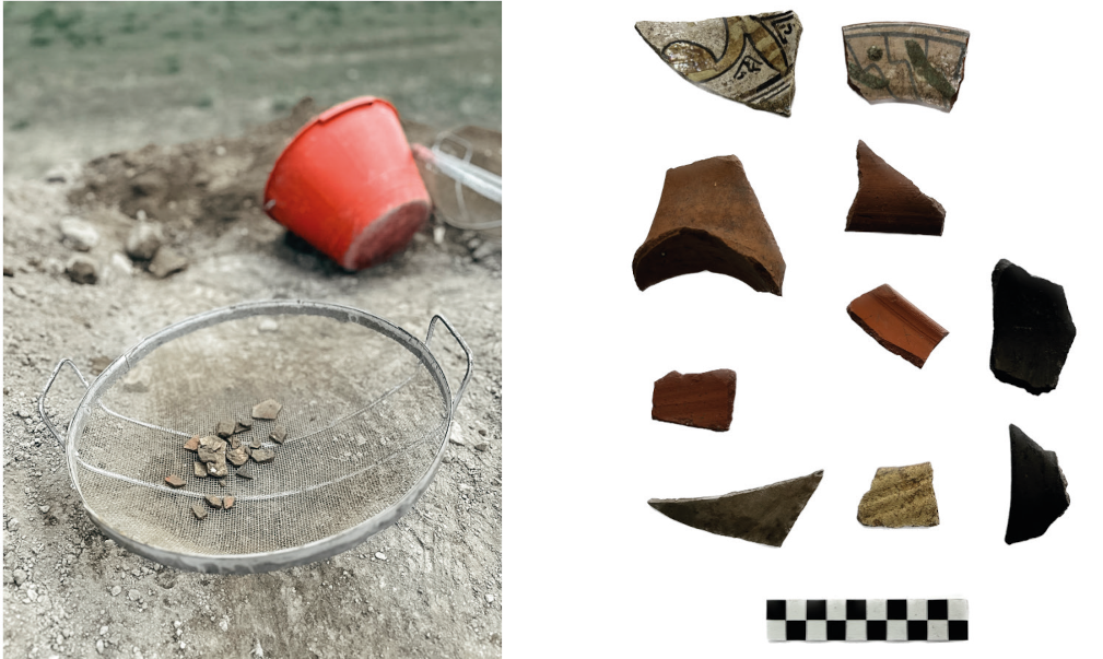 Ragno 2023, fig. 2