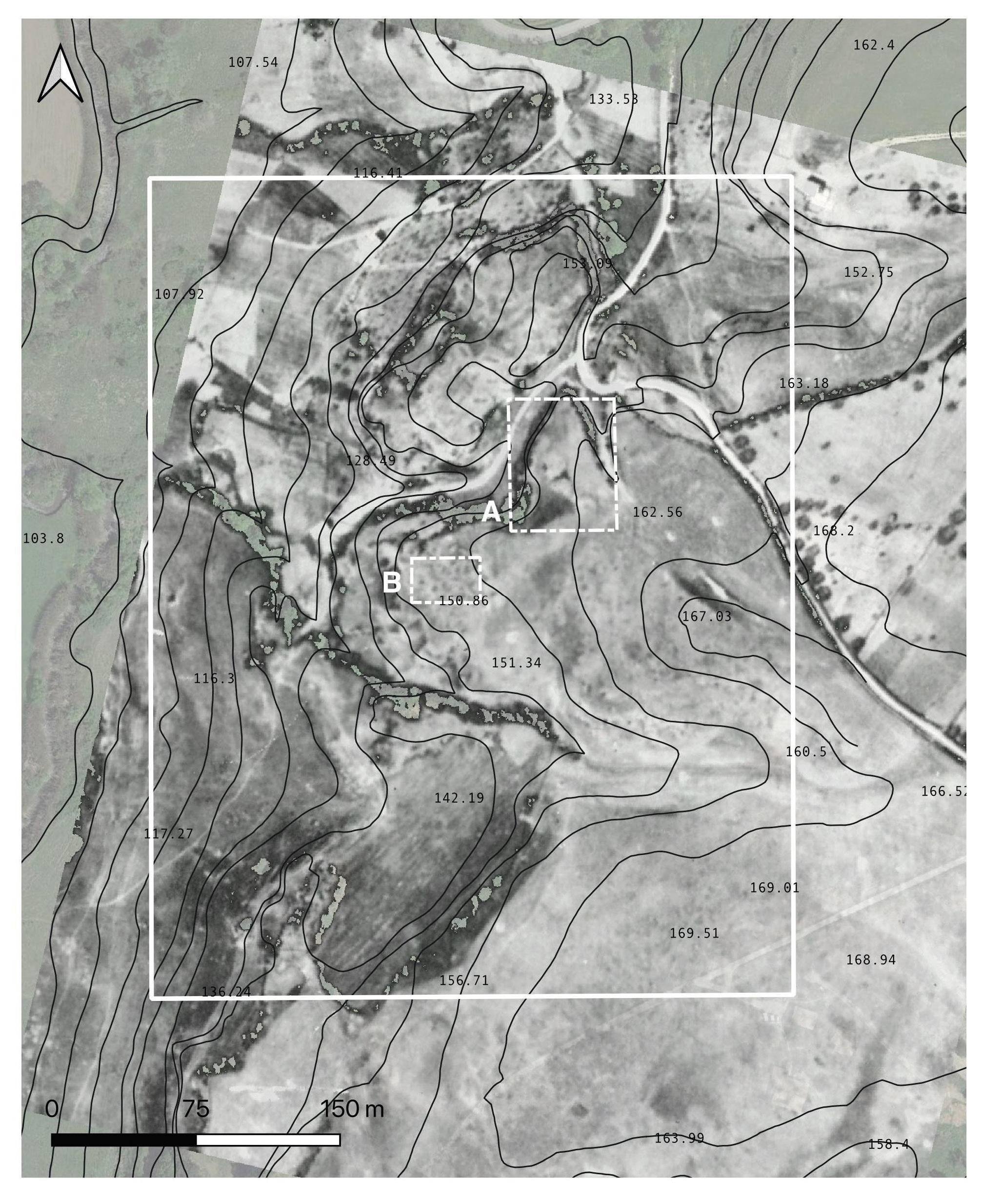 Naso et al. 2024, fig. 3