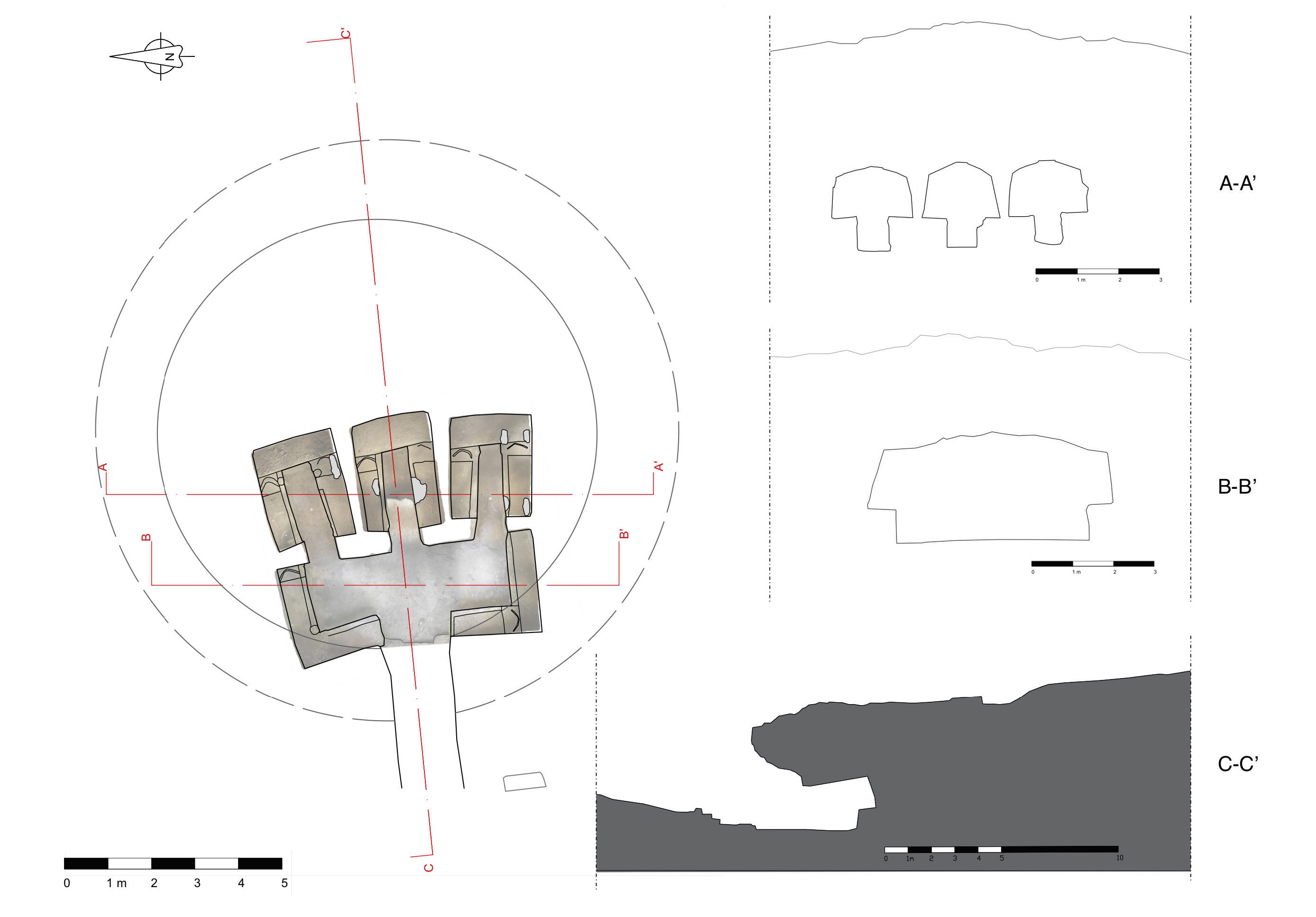 Naso et al. 2024, fig. 4