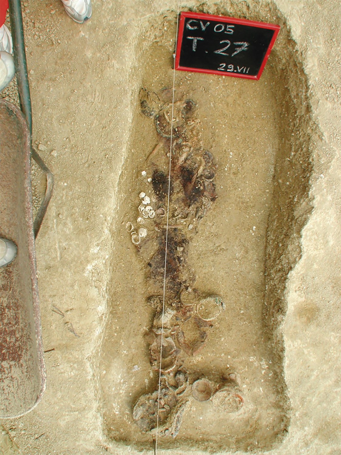 Cingolani et al. 2024, fig. 4