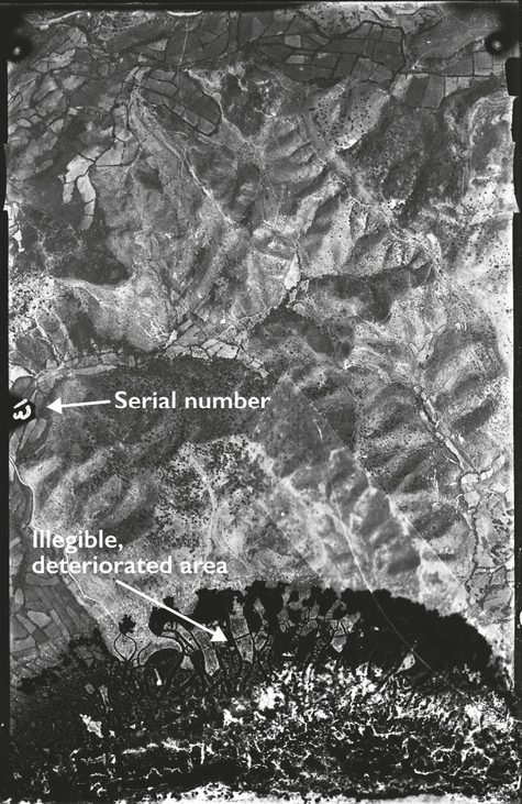 Bogdani, D'Erasmo 2024, fig. 2