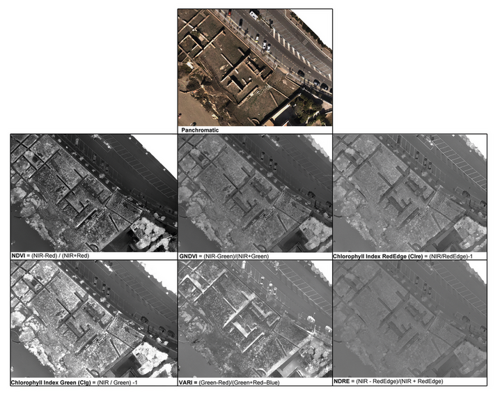 Ebanista 2024, fig. 6