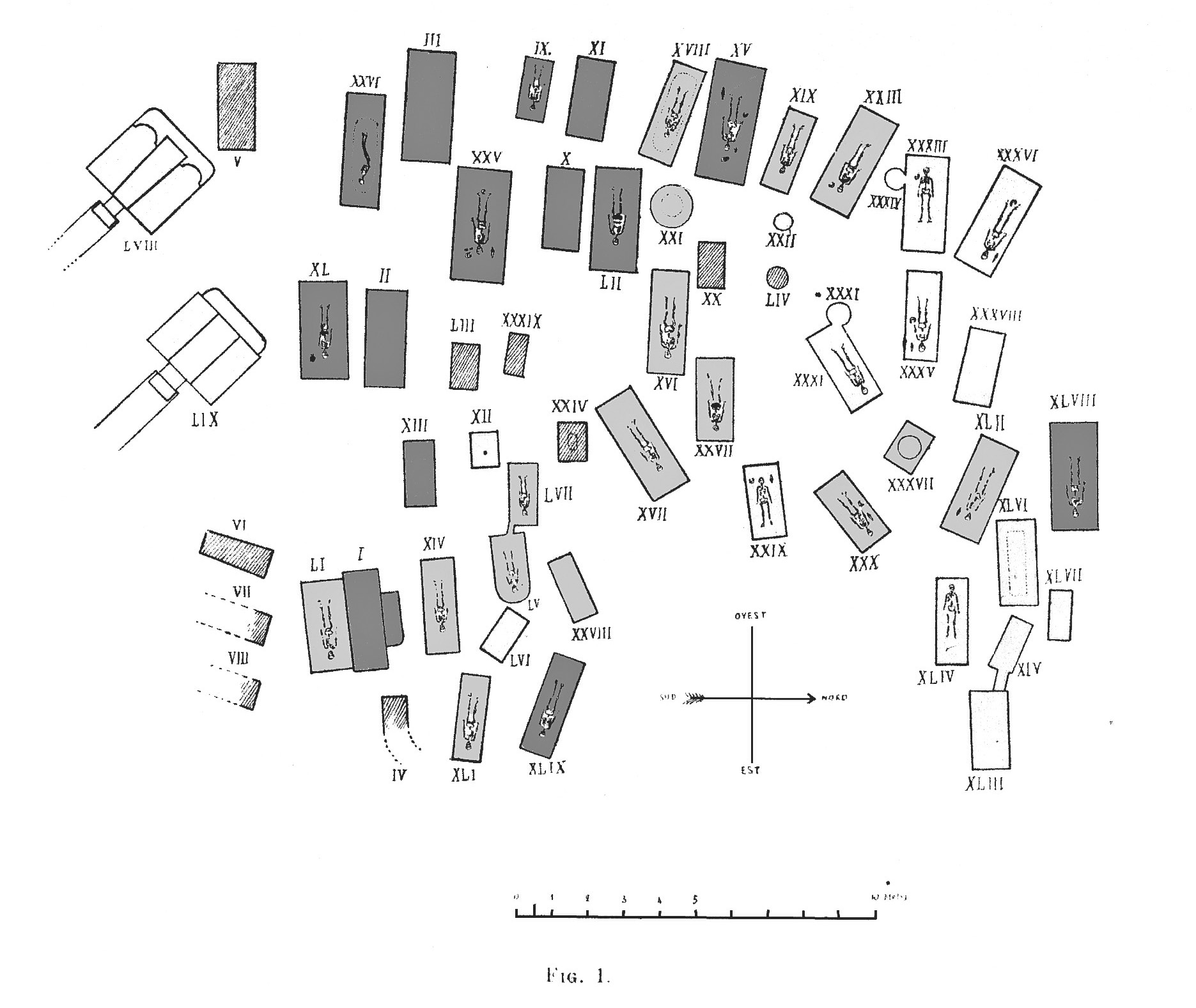Sagripanti 2025, fig. 1