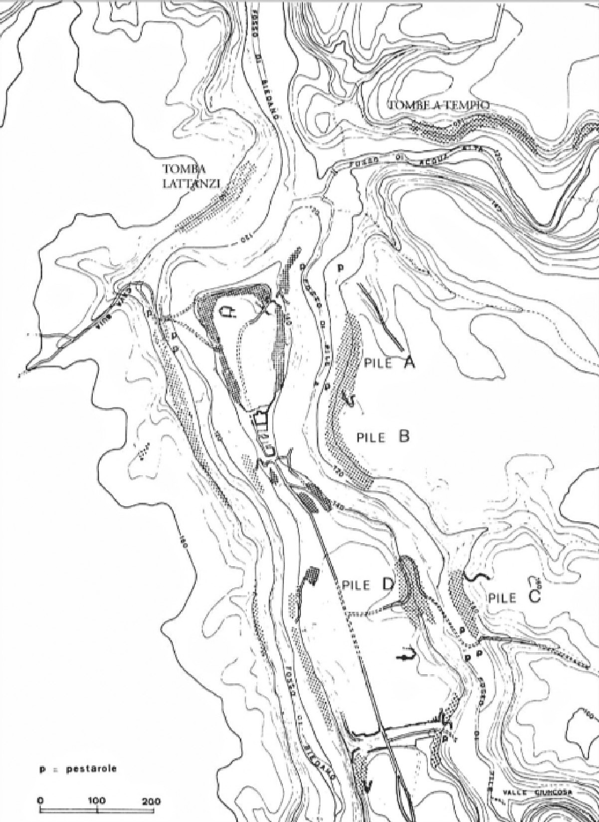 Sagripanti 2025, fig. 2