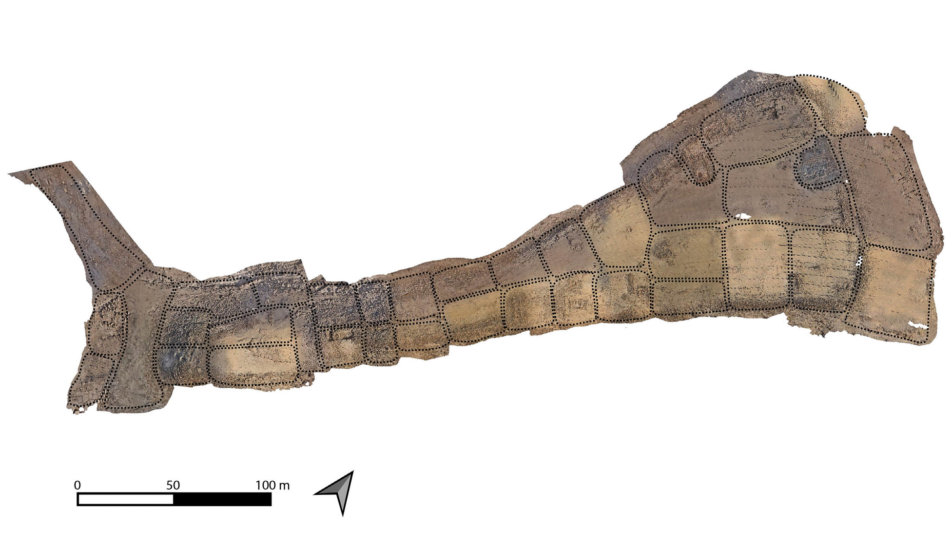 Halbertsma et al. 2025, fig. 4