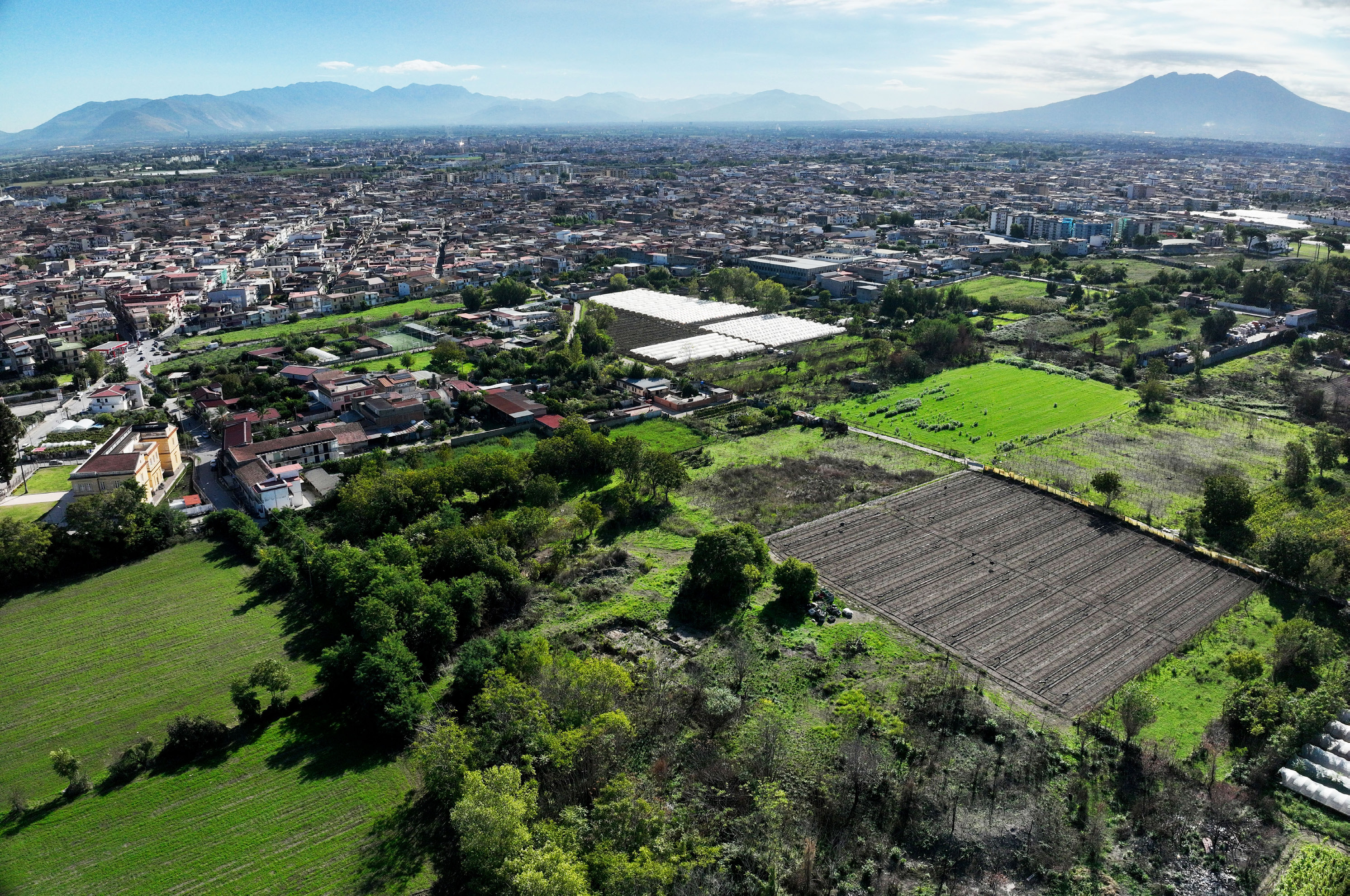 Brancato et al. 2025, fig. 2