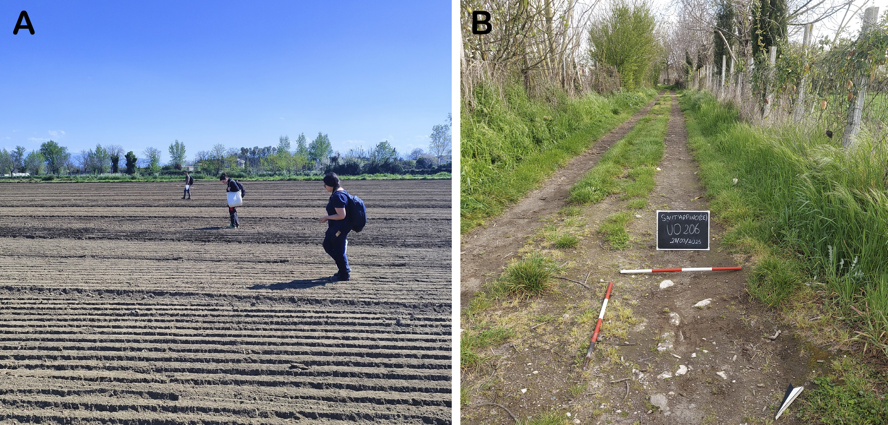 Brancato et al. 2025, fig. 7