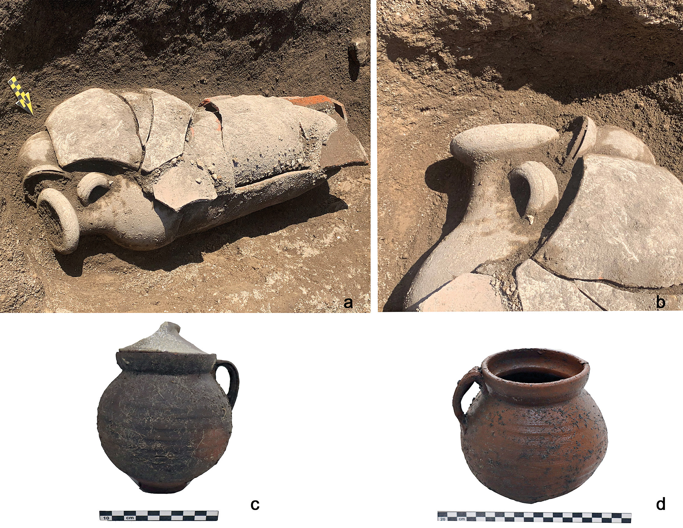 De Simone et al. 2025, fig. 10