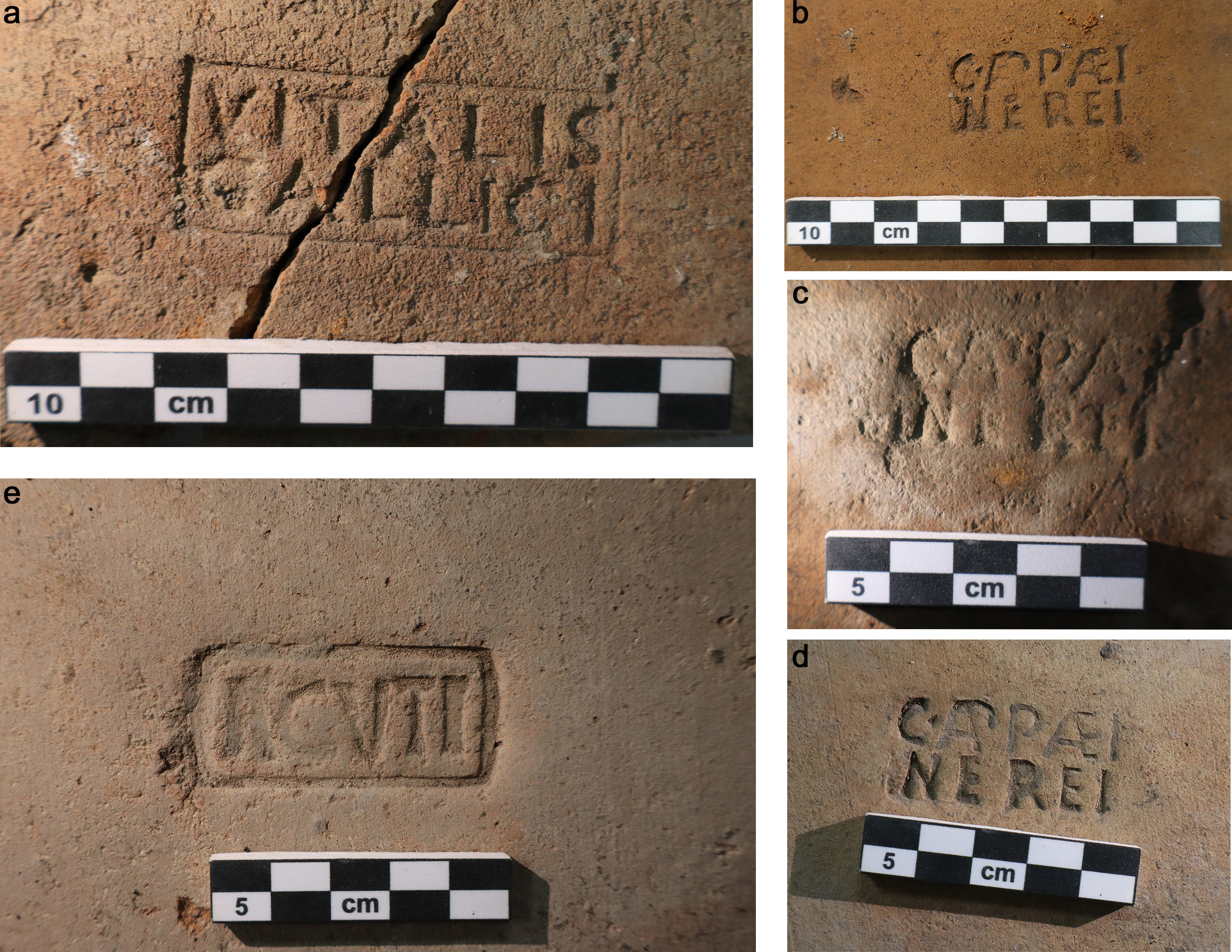 De Simone et al. 2025, fig. 8