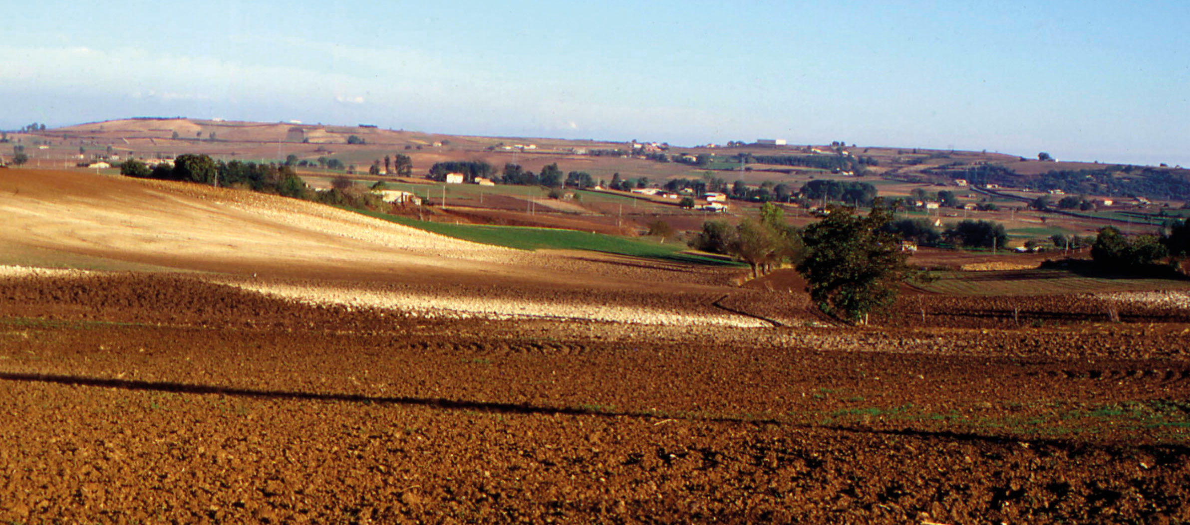  Pacciarelli et al. 2025, fig. 5