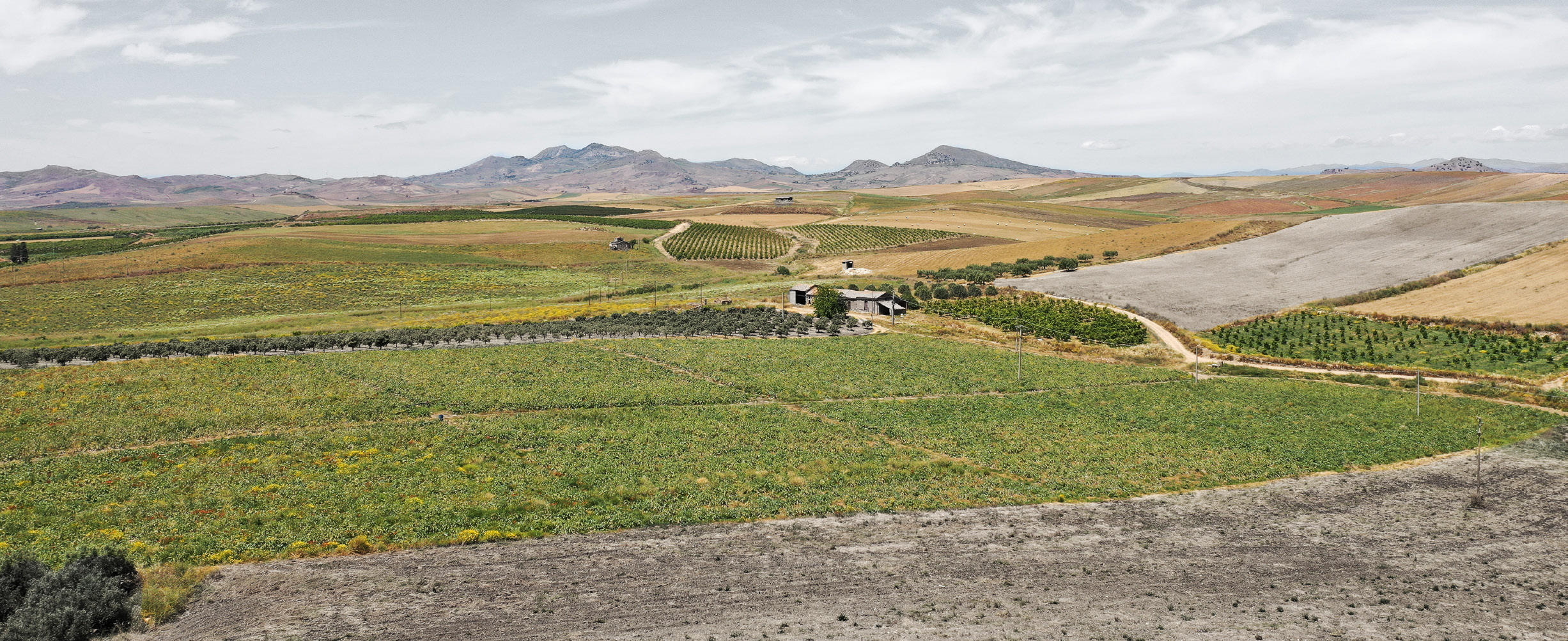 Pacciarelli et al. 2025, fig. 6