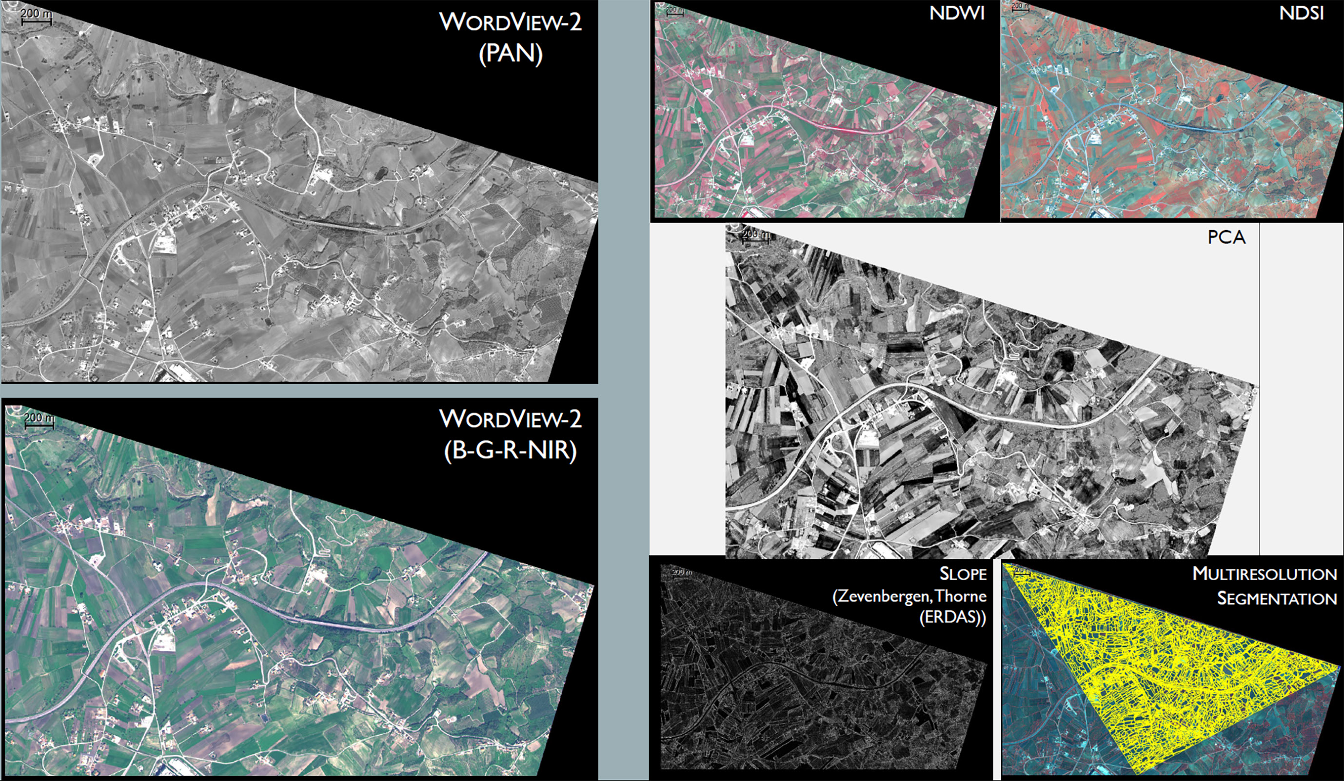 Pacciarelli et al. 2025, fig. 8