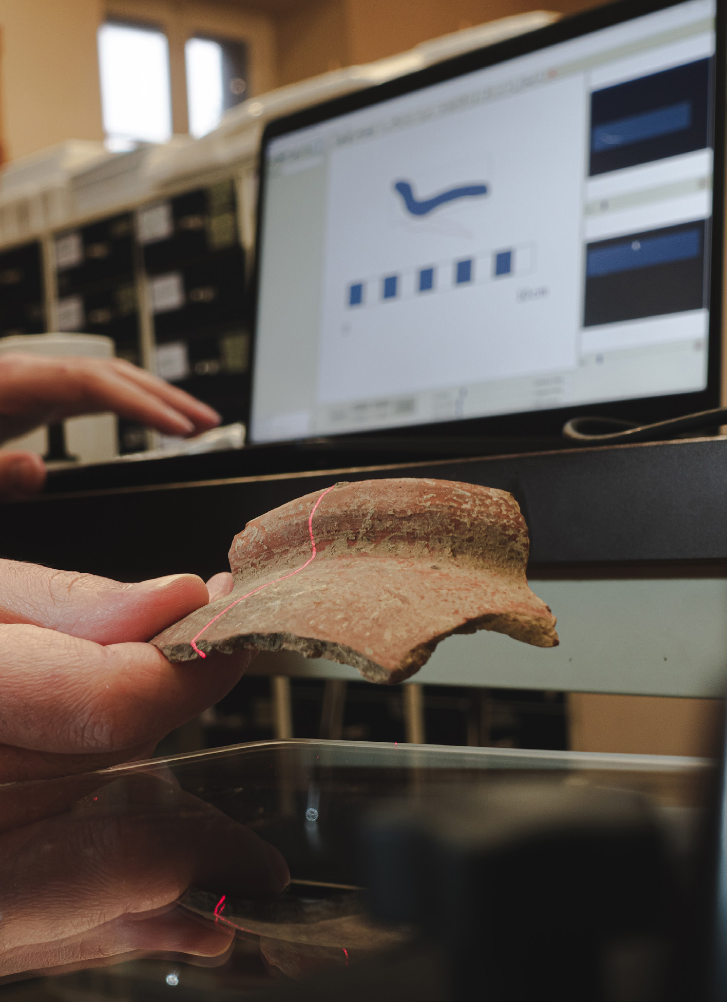 Lapacciana, Ciavattini 2025, fig. 1