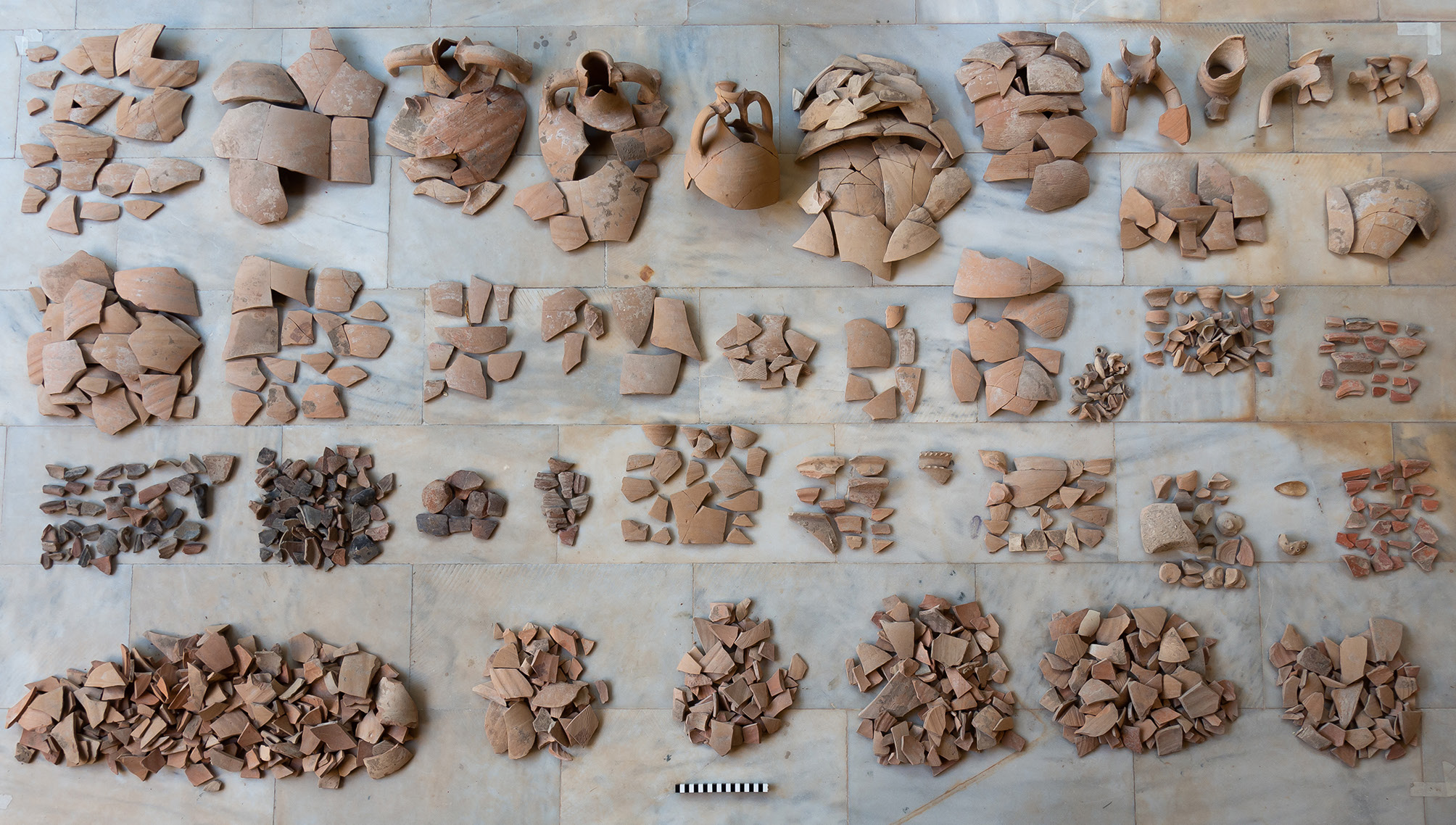 Lapacciana, Ciavattini 2025, fig. 2