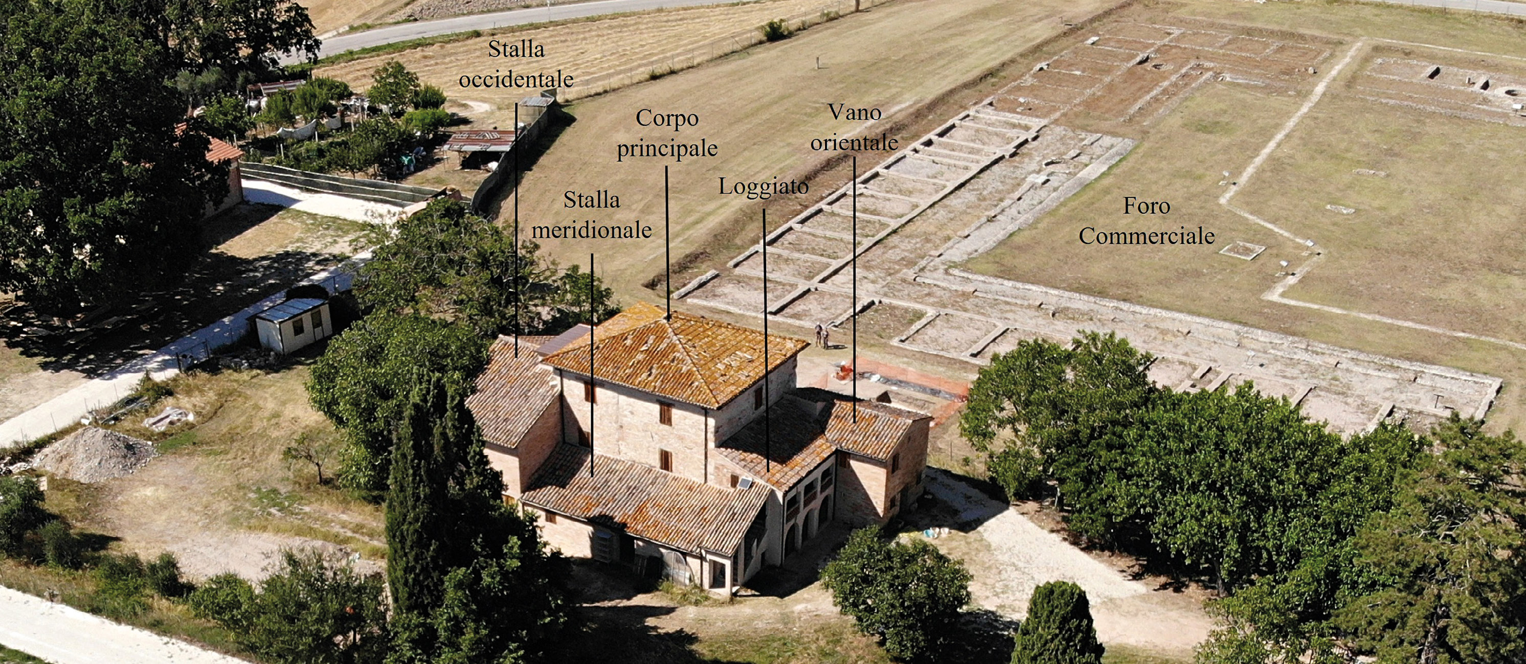 Giorgi et al. 2026, fig. 7