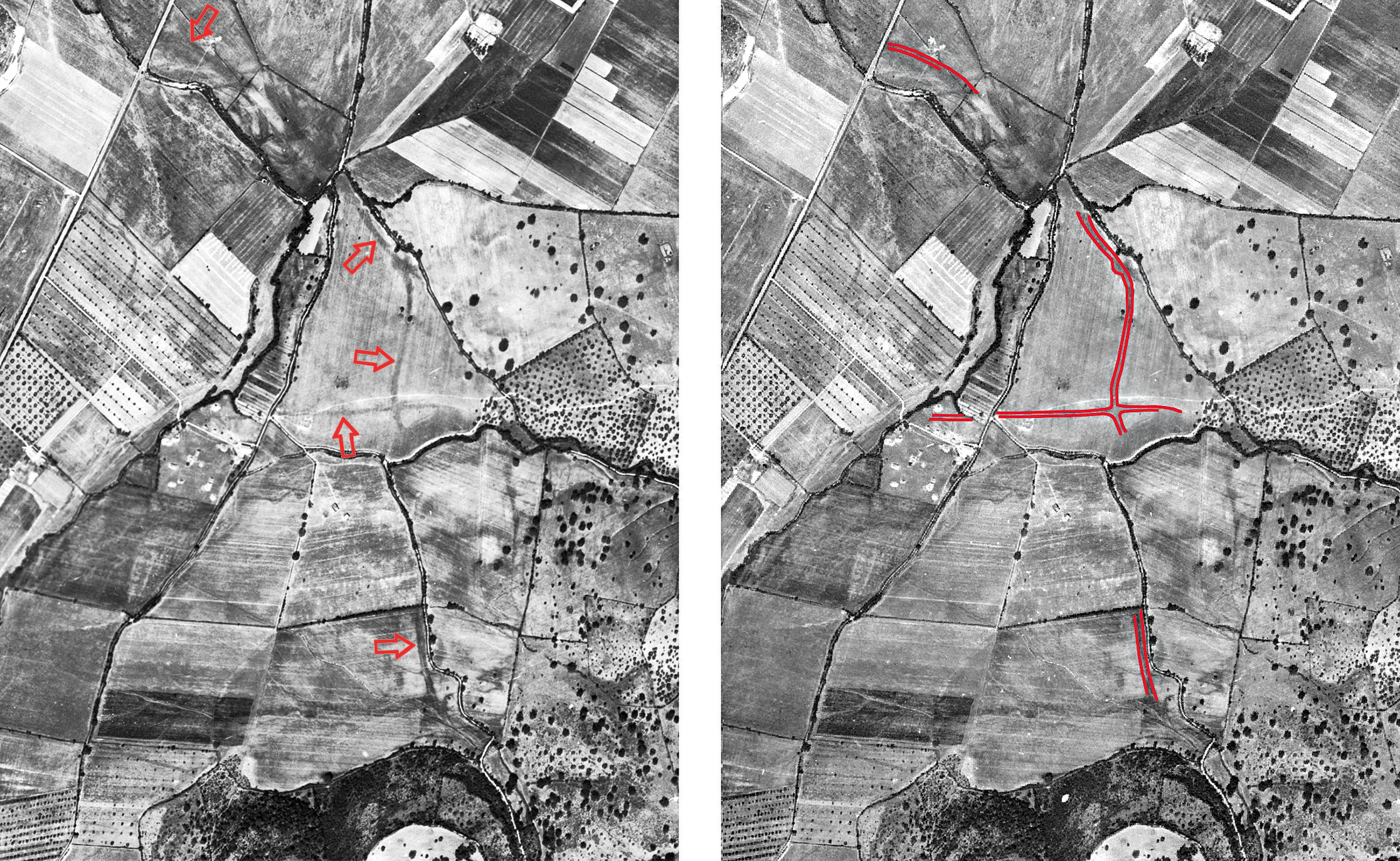 Liberotti et al. 2026, fig. 5