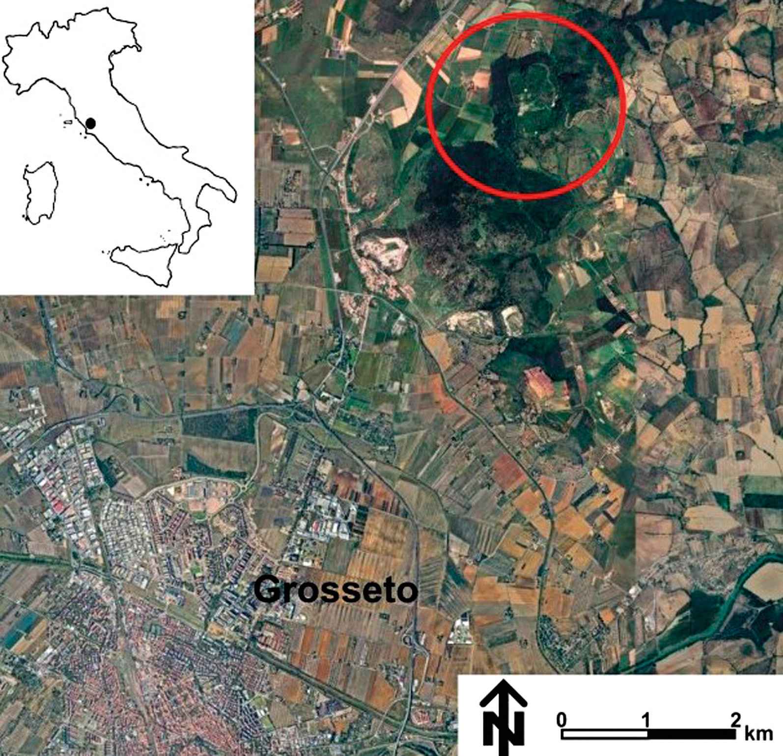 Susini et al. 2026, fig. 1