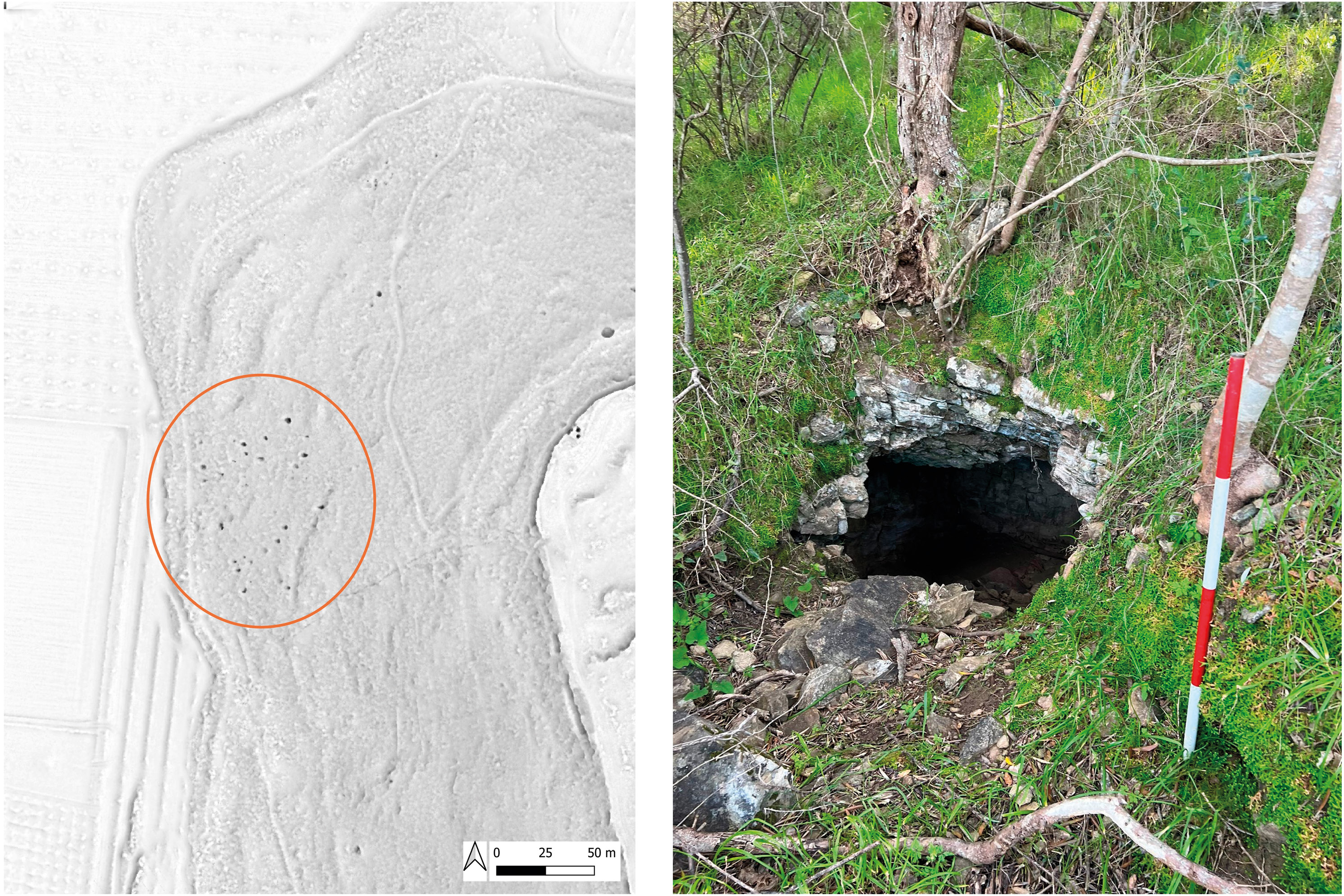 Susini et al. 2026, fig. 6