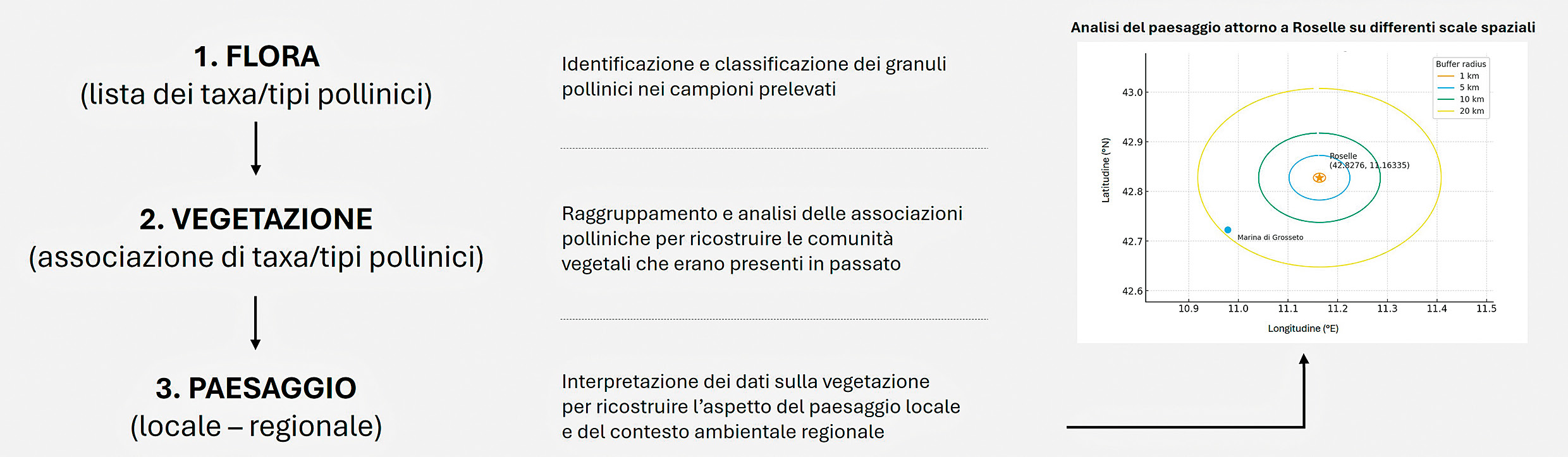 Mercuri et al. 2026, fig. 1