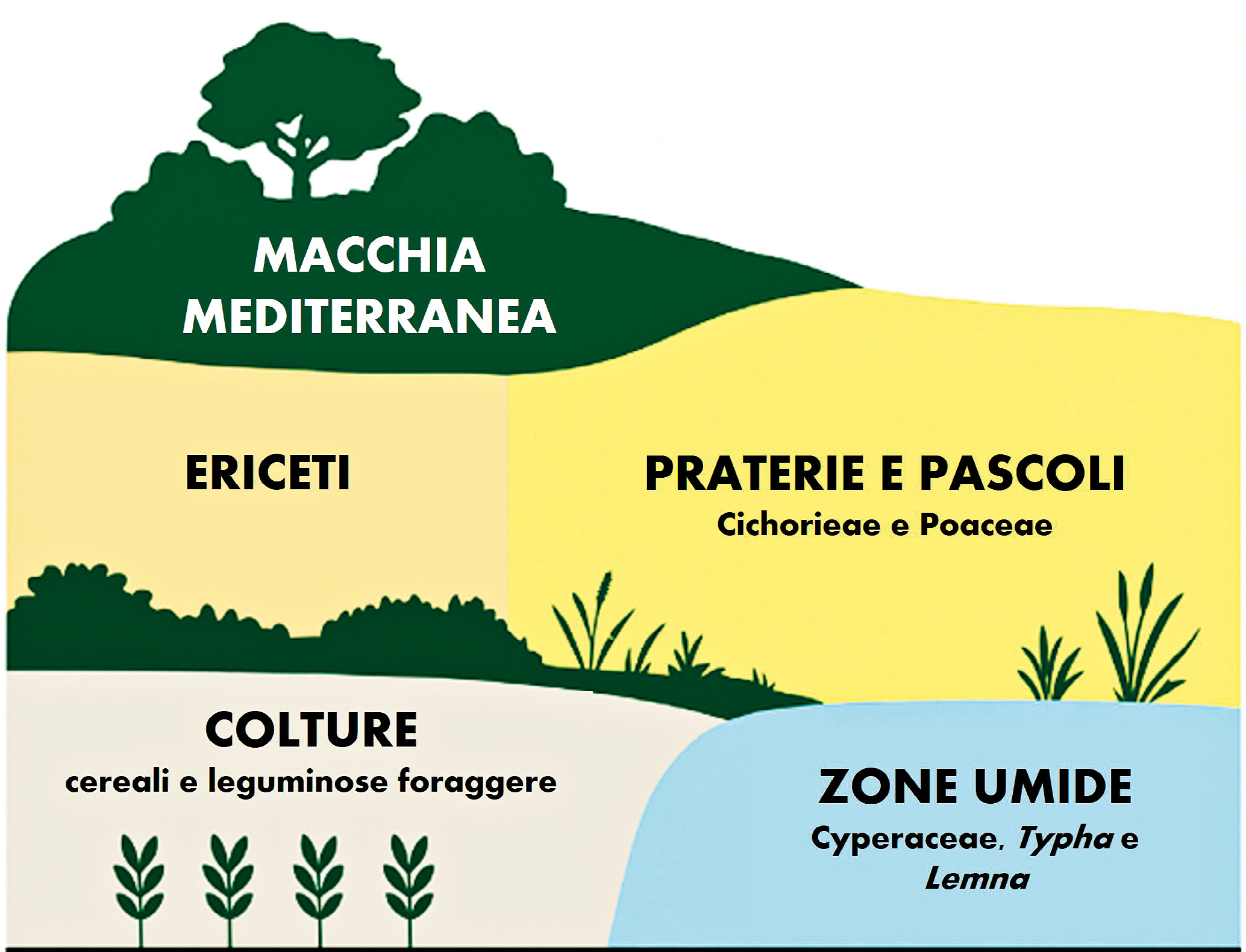 Mercuri et al. 2026, fig. 12