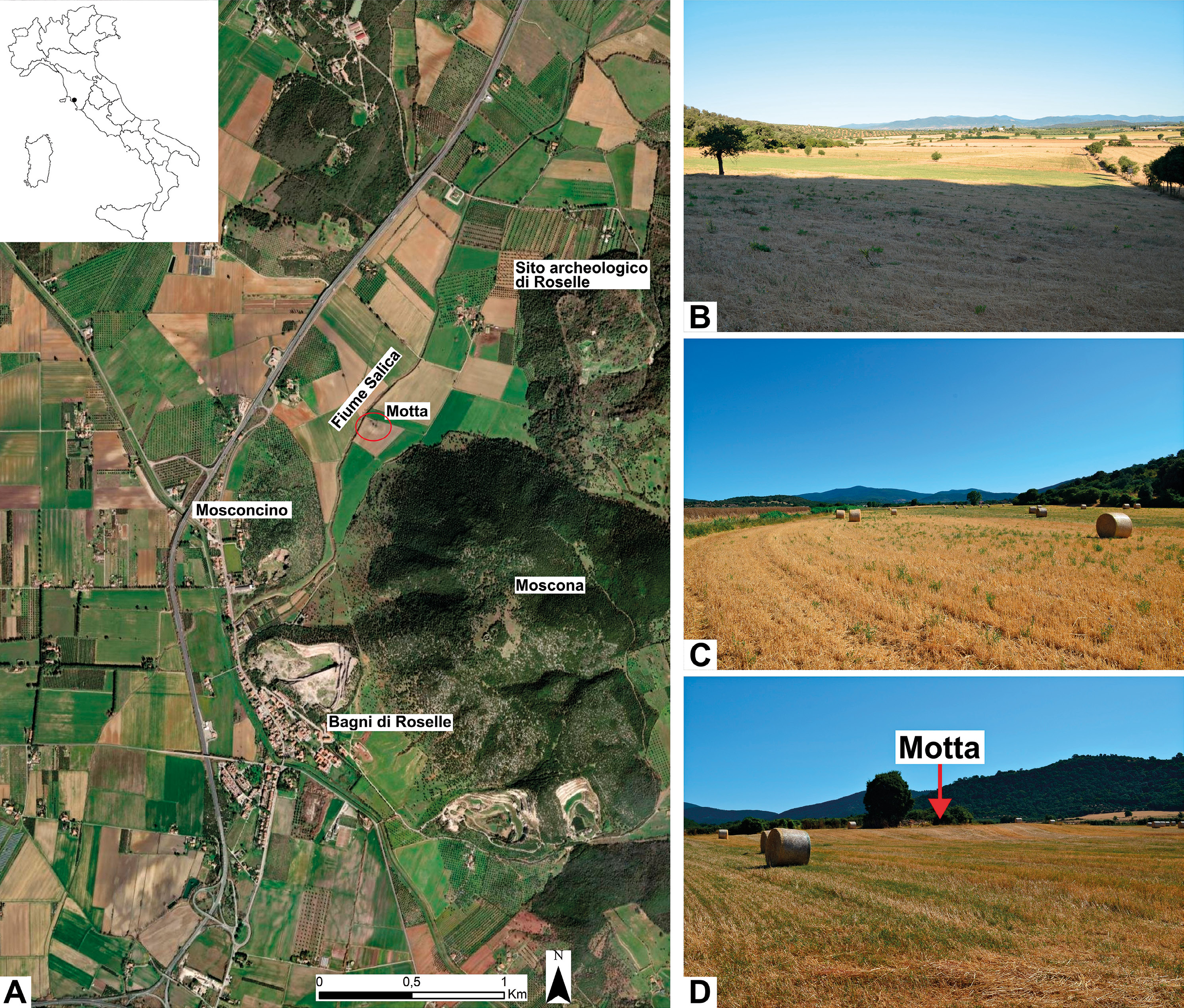 Mercuri et al. 2026, fig. 2