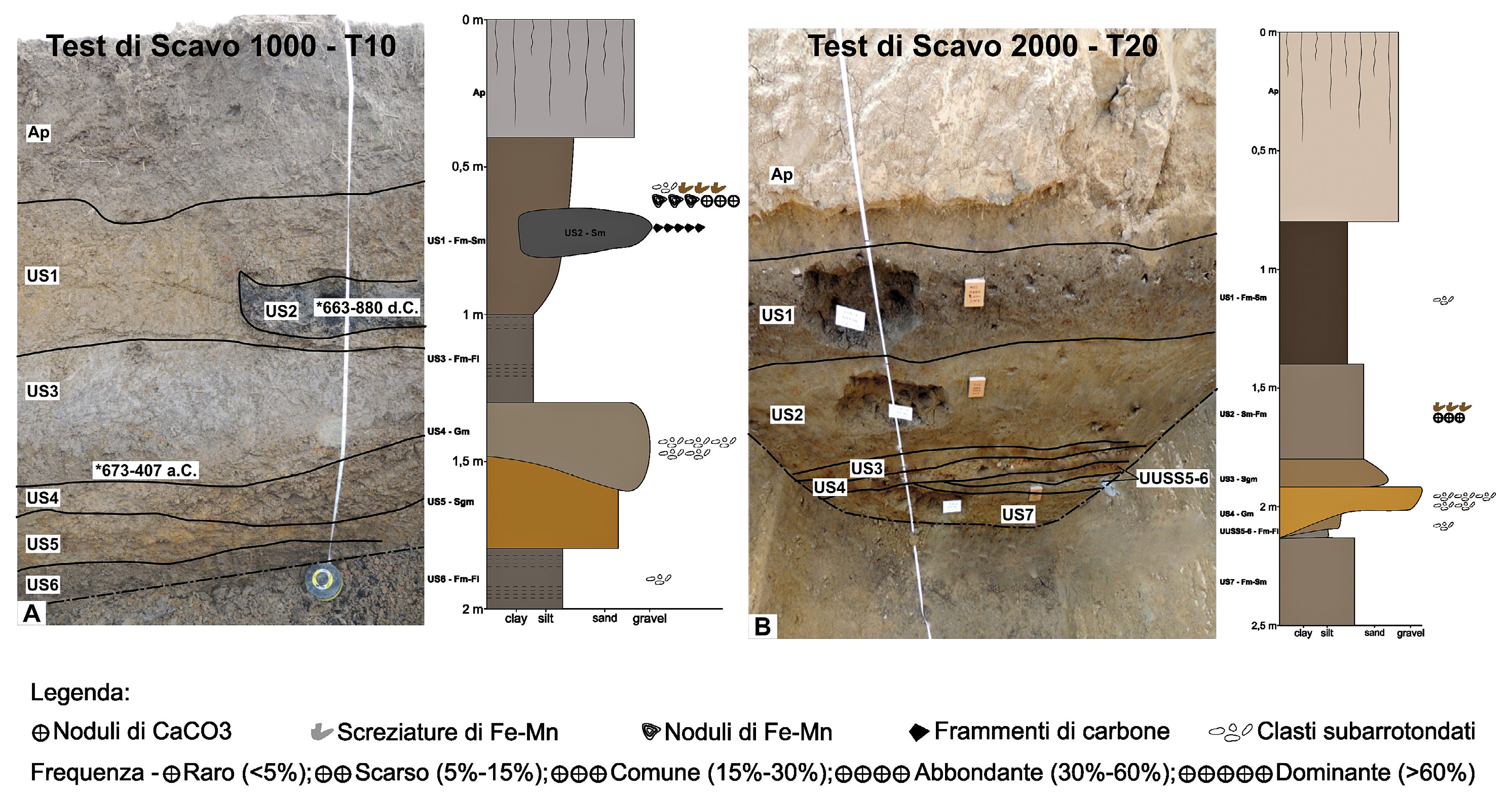 Mercuri et al. 2026, fig. 4