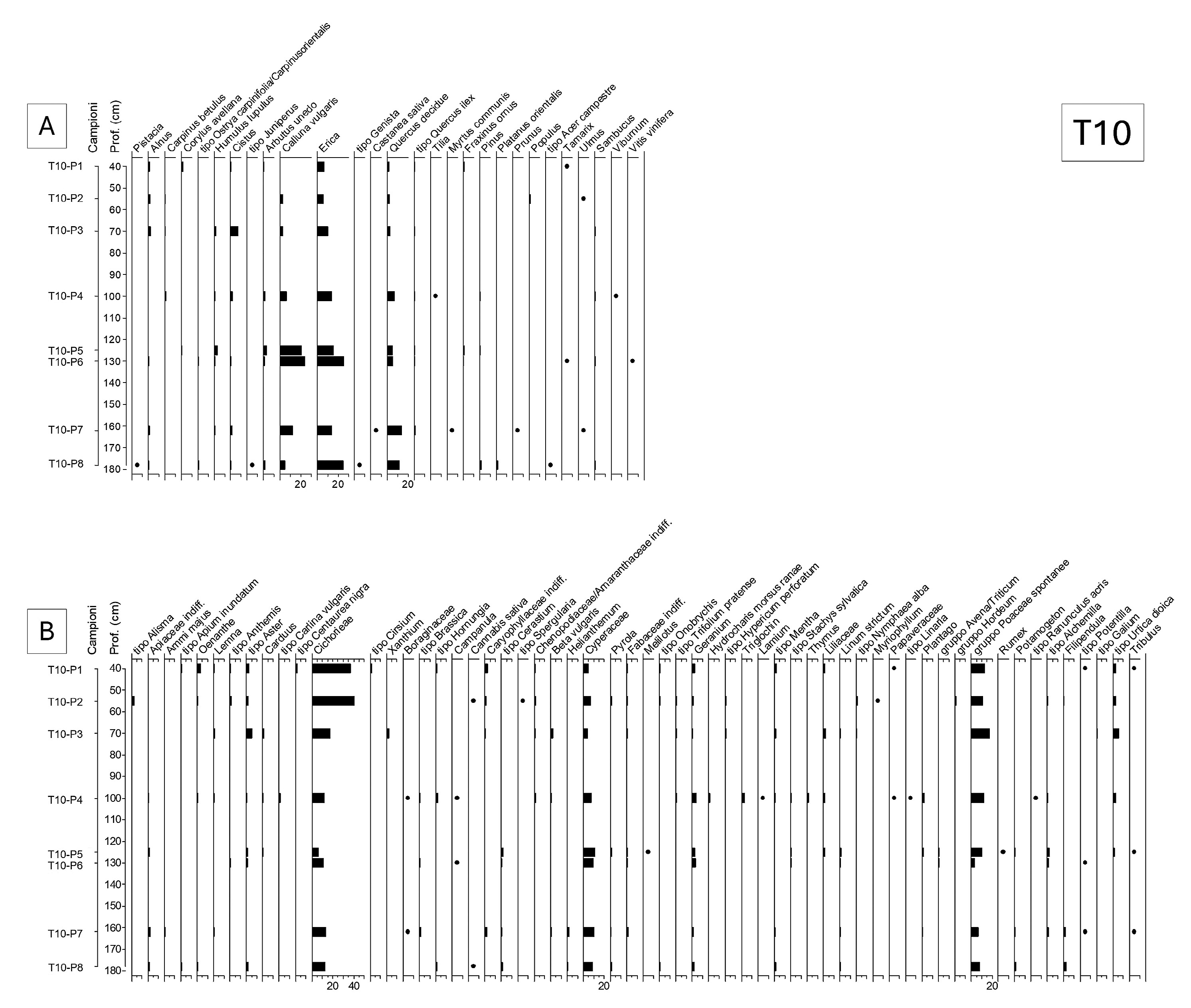 Mercuri et al. 2026, fig. 7