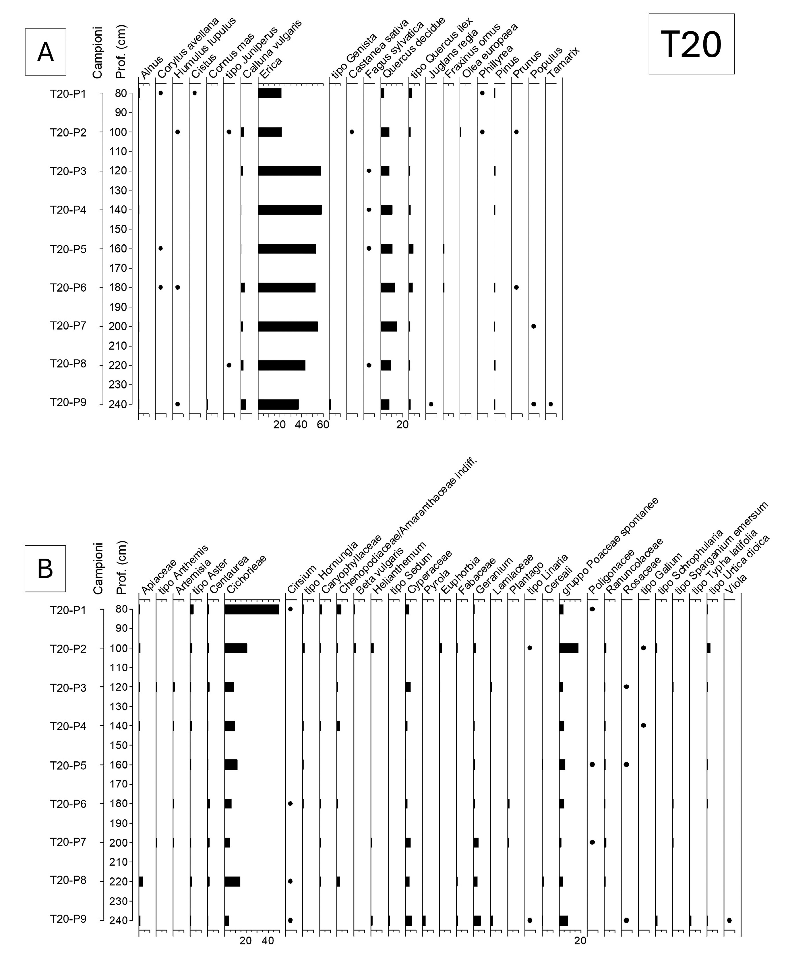  Mercuri et al. 2026, fig. 9