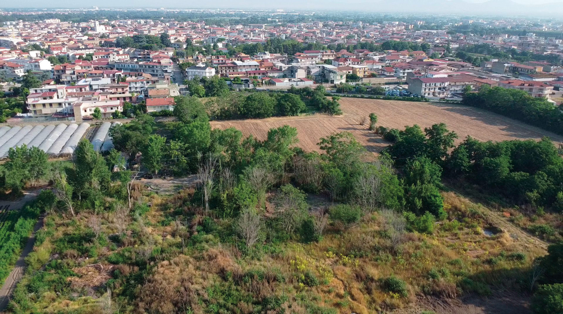 Brancato 2026, fig. 2