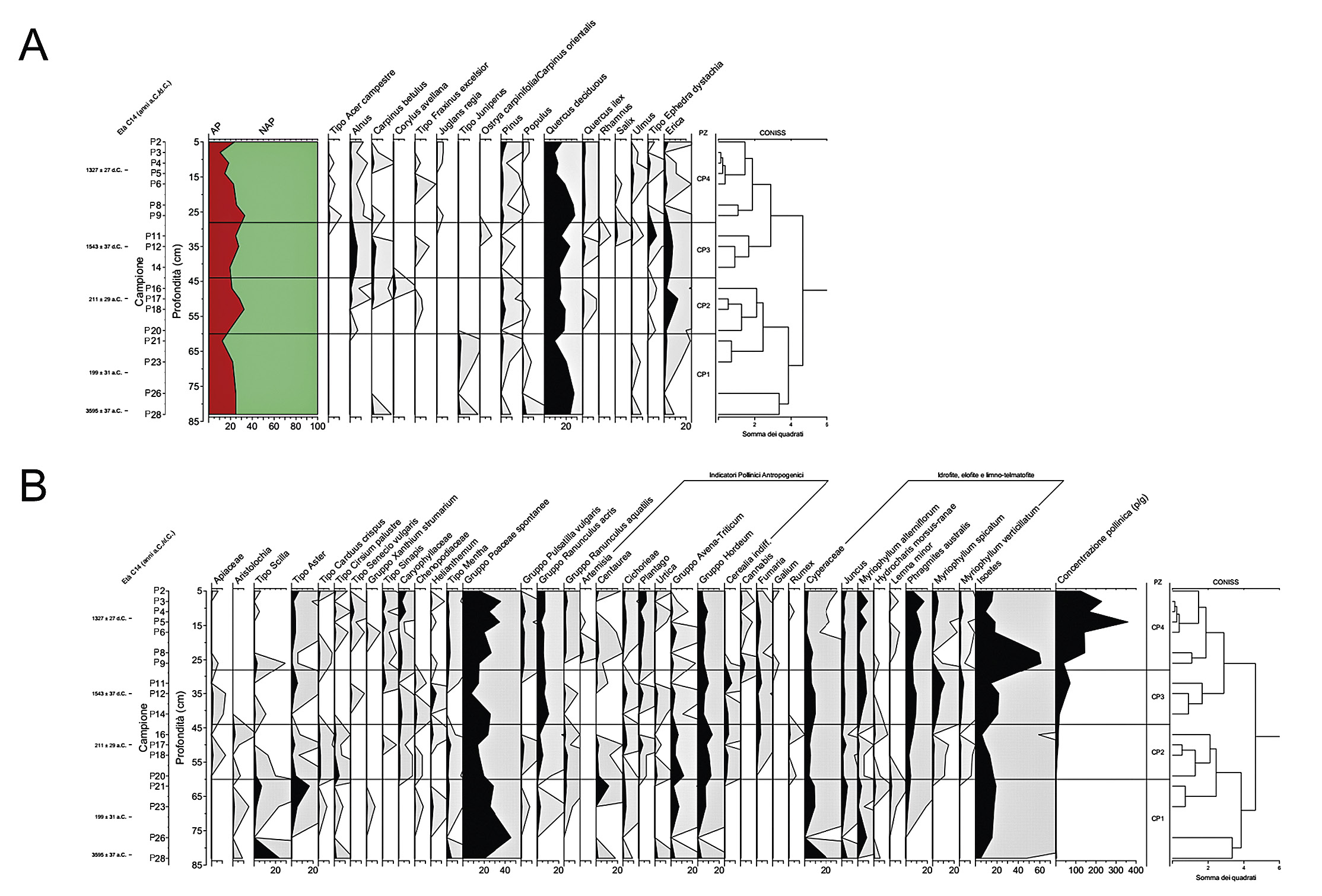 Braga et al.  2026, fig. 5