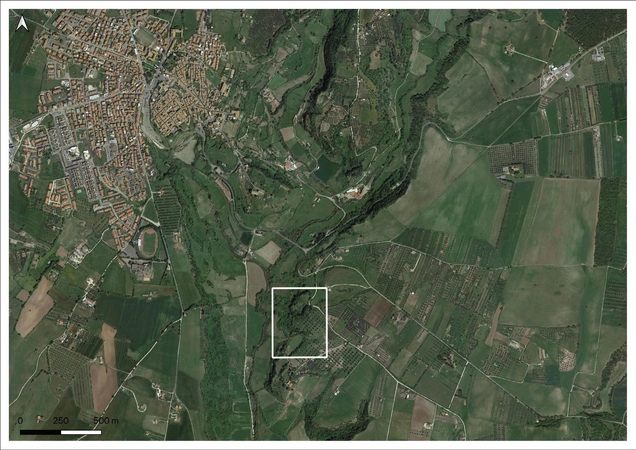 Naso et al. 2024, fig. 1 - thumbnail