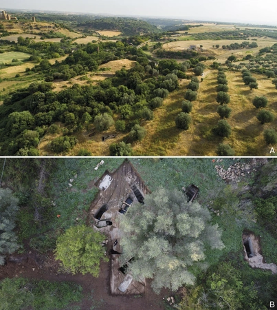 Naso et al. 2024, fig. 2 - thumbnail