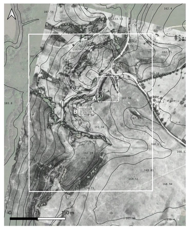 Naso et al. 2024, fig. 3 - thumbnail