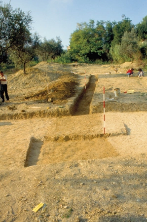 Cingolani et al. 2024, fig. 3 - thumbnail