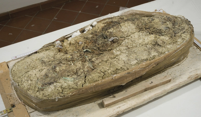 Cingolani et al. 2024, fig. 5 - thumbnail